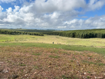 WhatsApp-Image-2026-03-23-at-2.28.19-PM