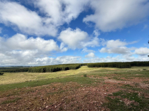 WhatsApp-Image-2026-03-23-at-2.28.20-PM-1