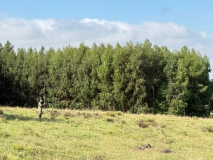 WhatsApp-Image-2026-03-23-at-2.28.20-PM